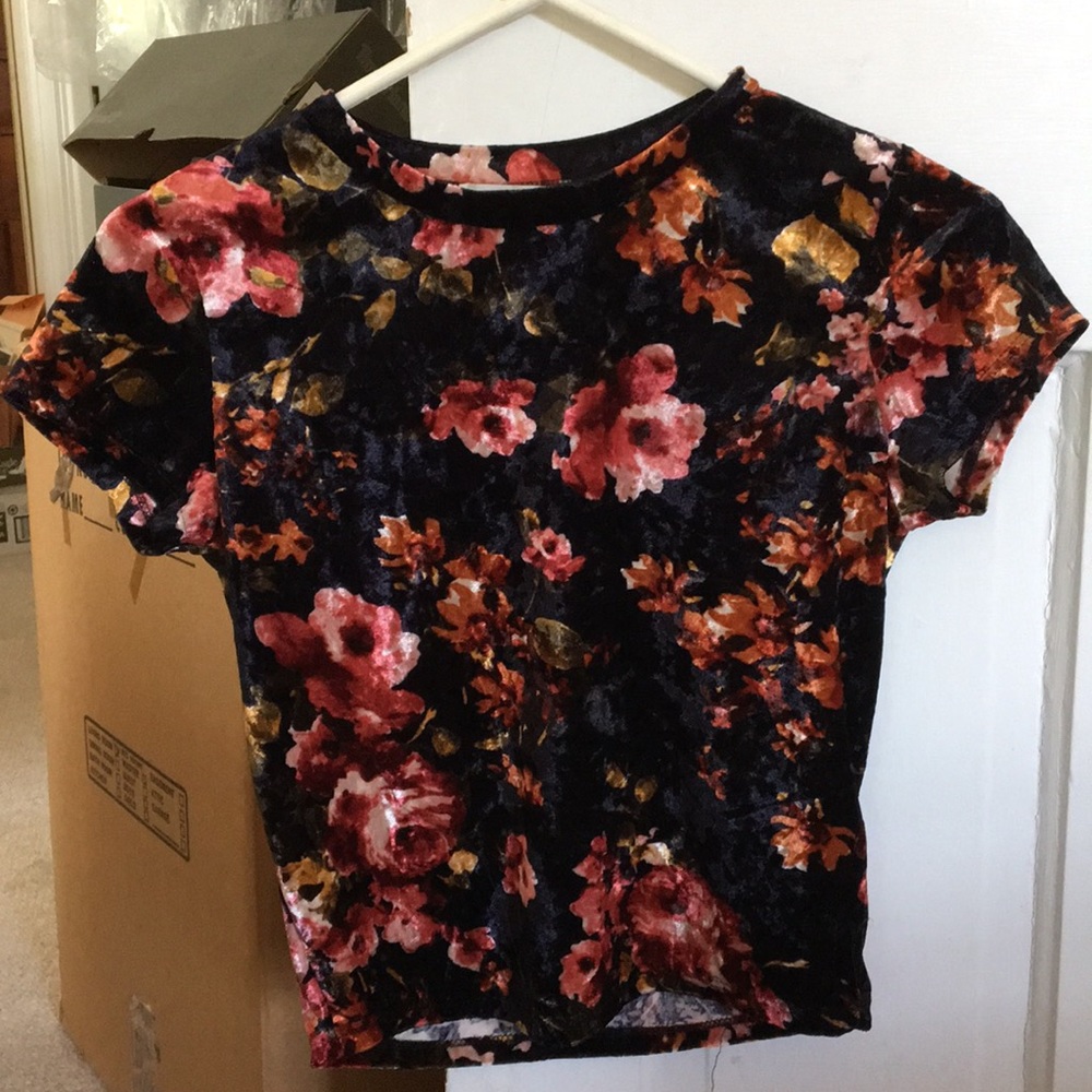 Urban Outfitters Black Floral Velvet Cropped Top